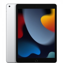 Apple iPad (Gen9), 256GB, Wi-Fi+Cellular