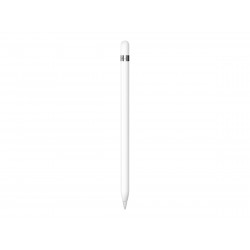 Apple Pencil (USB-C) - EDU