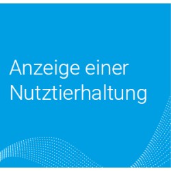 Onlineantrag Anzeige einer...